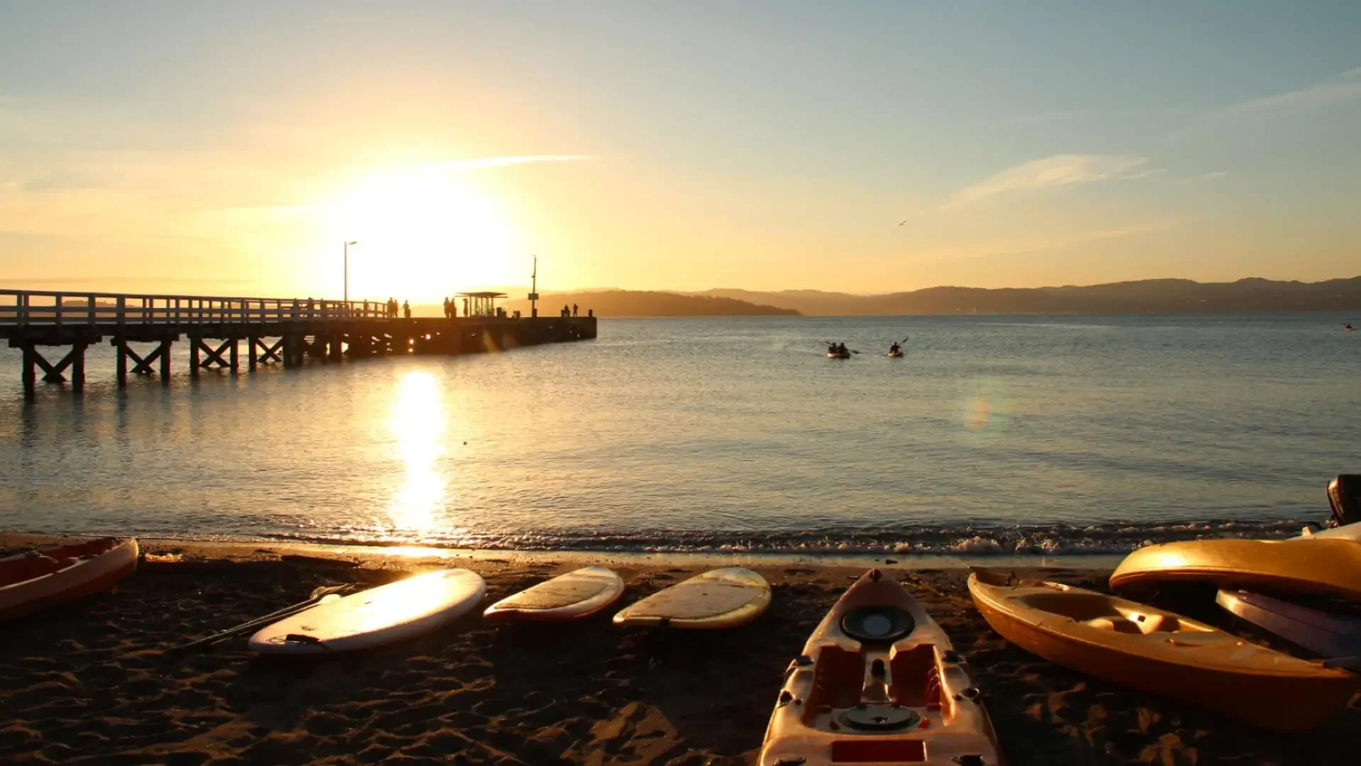 Best Family Day Trips in New Zealand: Places to Explore with Kids